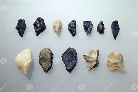Stone Age History 的图像结果
