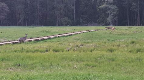 Photo Album – Olive Vista STEAM Magnet – Olive Vista Middle School