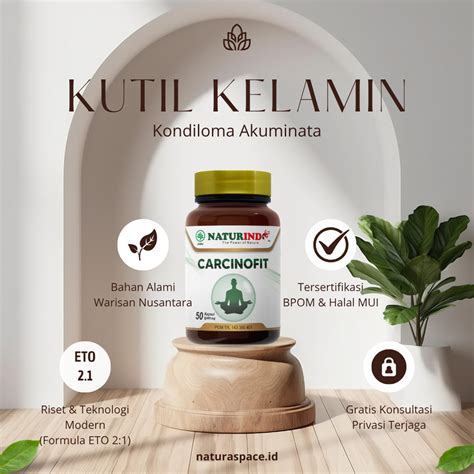 Jual Obat Kutil Kelamin Kondiloma Akuminata Jengger Ayam Herpes ...