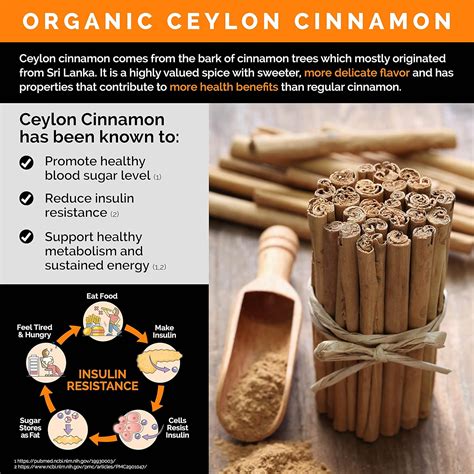 Buy 5-in-1 Organic Ceylon Cinnamon Capsules 2355mg with Apple Cider ...