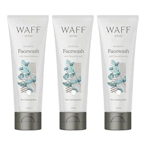 WAFF Eucalyptus & Peppermint Face Wash | Deep cleansing, hydrating ...