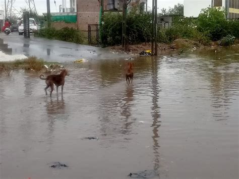In Patan, the road from women's hospital to pioneer school is flooded ...
