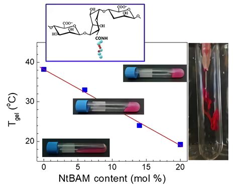 Alginate-g-PNIPAM-Based Thermo/Shear-Responsive Injectable Hydrogels ...
