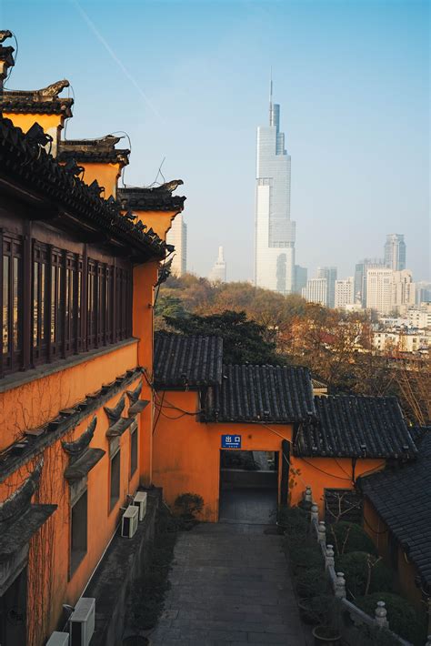 南京鸡鸣寺和远处的紫峰摩天大厦摄影图配图高清摄影大图-千库网