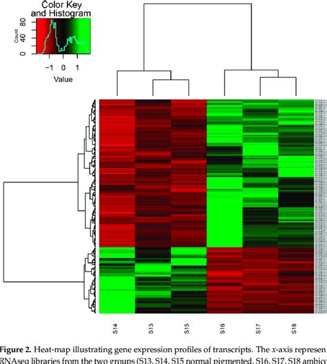 Image result for Gene Expression Map