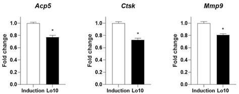 Effects of Loganin on Bone Formation and Resorption In Vitro and In Vivo