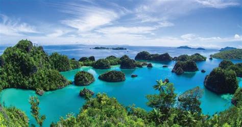 Raja Ampat: Surga Bawah Laut yang Menakjubkan
