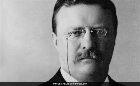 This Valentine Week Know 3 Facts About Iconic Gift Item Teddy Bear ...