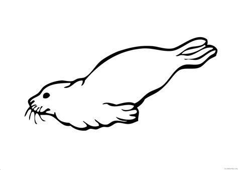 Seals Coloring Pages Animal Printable Sheets printable seal 2021 4409 ...
