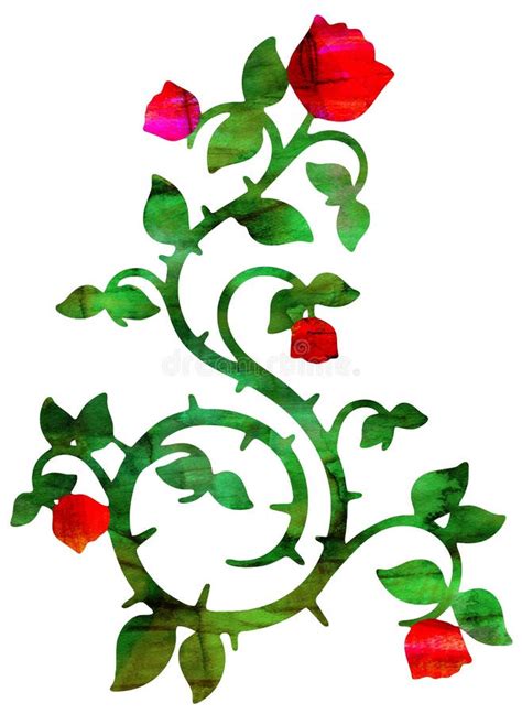 Red Rose Vine Illustration stock illustration. Illustration of roses ...