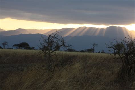 Meru National Park Photos - Featured Images of Meru National Park ...