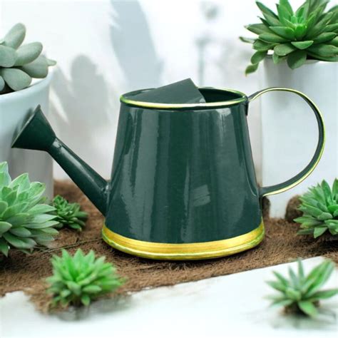 Watering Can – Ecofynd