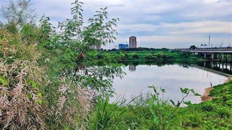 市沙河集水库管理处开展2021年“世界水日”“中国水周”宣传活动_滁州市水利局