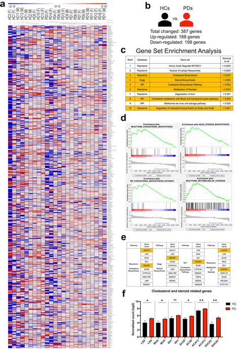 Transcriptome Analysis Image 的图像结果