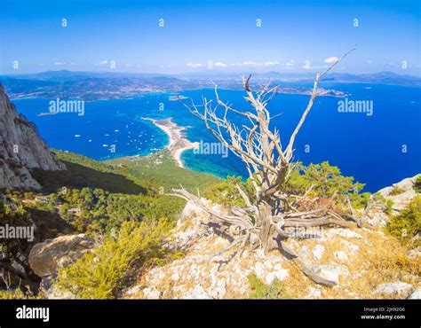 Tavolo Tavolino Comodo Da Trasportare Con Sacca Trekking Spiaggia Mare Pic Nic Montagna Prato Richiudibile Facile Cm 60 Blu - 4