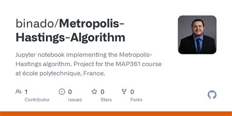 Metropolis-Hastings Algorithm Example 的图像结果