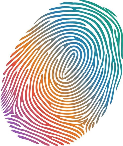 Vector many-coloured fingerprint on ... | Stock vector | Colourbox