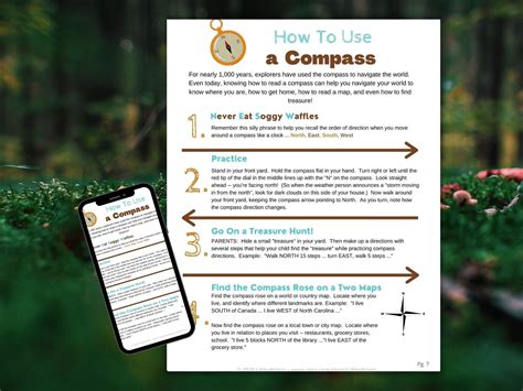 How to Use Nature's Compass 的图像结果