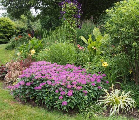 17 Perennial Garden Design Plans Ideas To Try This Year | SharonSable
