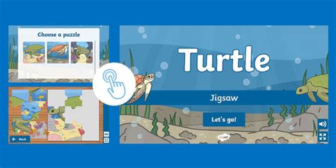 Rezultat imagine pentru Turtle Interactive Simple Simon