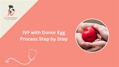 IVF Process Step by Step 的图像结果