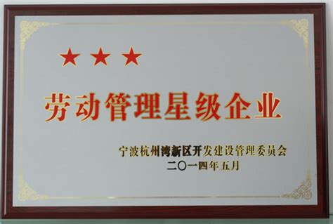 我司被评为杭州湾新区劳动管理”三星级企业” - 公司新闻 - 新闻中心 - 宁波飞羚电气有限公司