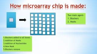 Protection Layer DNA Microarray 的图像结果