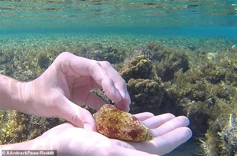 Photo reveals man was minutes away from death... but can you spot why?