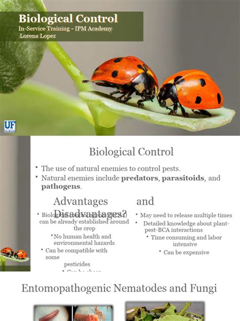 Biological Control Examples 的图像结果