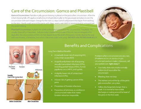 care of circumcised infant | DOCX