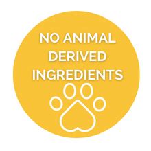 Buy BAD COMPANY Nail Polish, No Toxin Nail Lacquer, Long Lasting, Chip ...