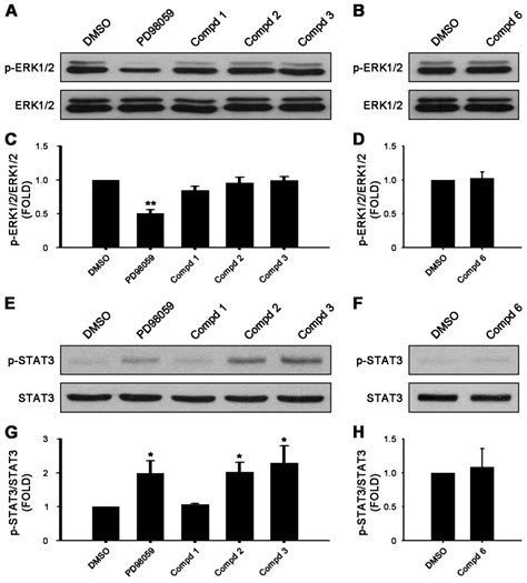 Functional Group-Dependent Induction of Astrocytogenesis and ...