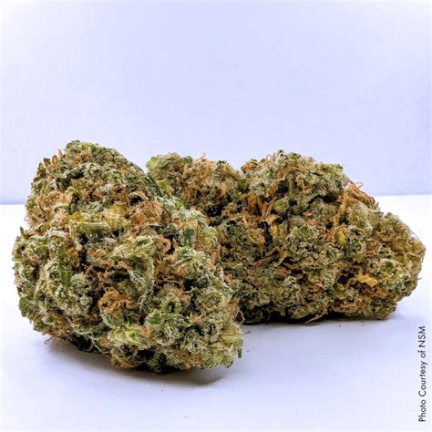 Strain of the Week: Strawberry Cough - AR Cannabis Times