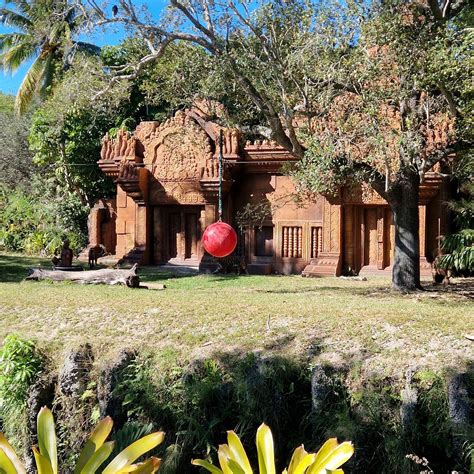 ZOO MIAMI - All You Need to Know BEFORE You Go 2026 (with Photos ...