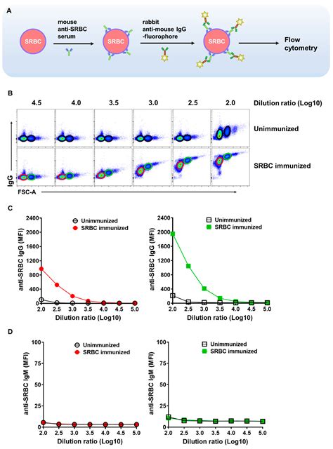 Flow Cytometry-Based Rapid Assay for Antigen Specific Antibody Relative ...