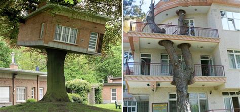 13 Genius Designs That Used Trees