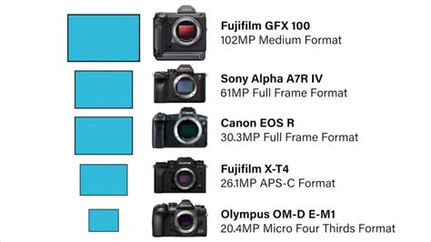 Camera Sensor Size Chart 的图像结果