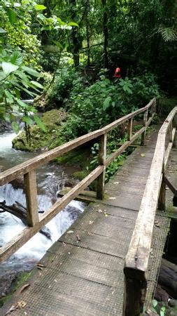 Real Adventure Tours (Quepos) - 2022 What to Know Before You Go (with ...