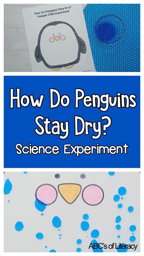 Animal Science Experiments 的图像结果