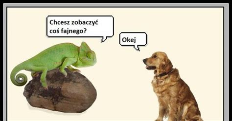 Image result for Object-Oriented Programming in JavaScript