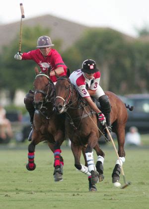 Polo Nedir? Polo