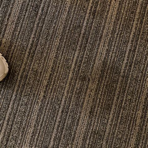 AVIA RESIDENCES ON LINCOLN (Malvern) - Hotel Reviews, Photos, Rate ...