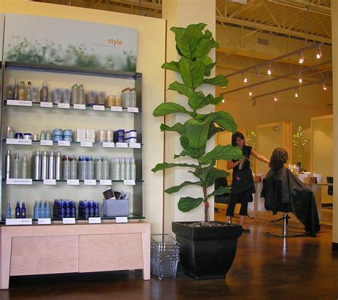 25 Best Hair Salons Near St. Petersburg, FL - 2022 BestProsInTown