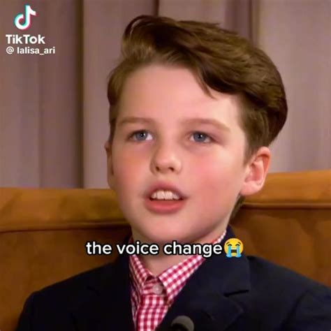 Best 12 Soft kitty warm kitty little ball of fur happy kitty sleepy ...