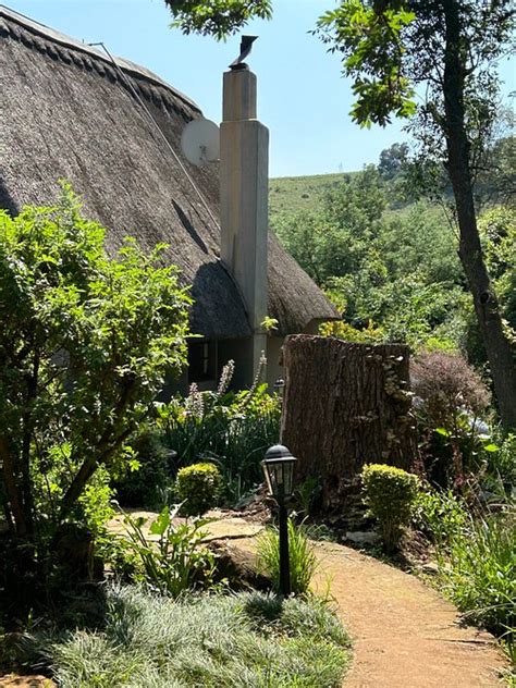 GRANNY MOUSE COUNTRY HOUSE (Howick) - Hotel Reviews, Photos, Rate ...