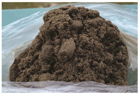 Experimental Evaluation of the Multiphase Flow Effect on Sand ...