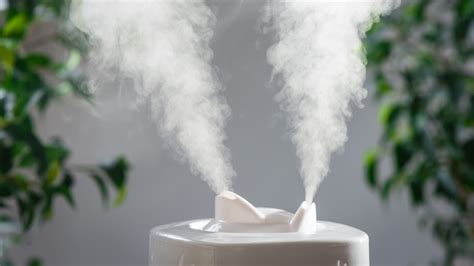 Image result for How a Humidifier Helps