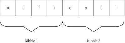 Image result for Difference Between Byte Bit Nibble and Word