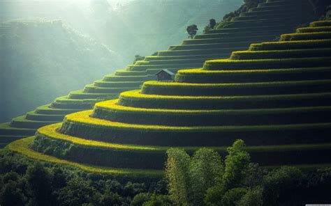 Asia Scenery 的图像结果