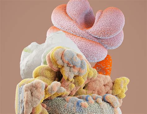 Image result for Python vs Beauty